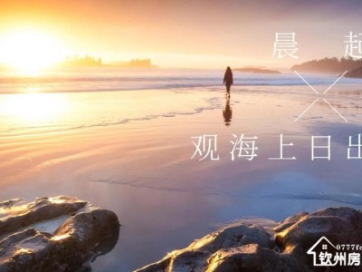 海蓝·凤凰海岸